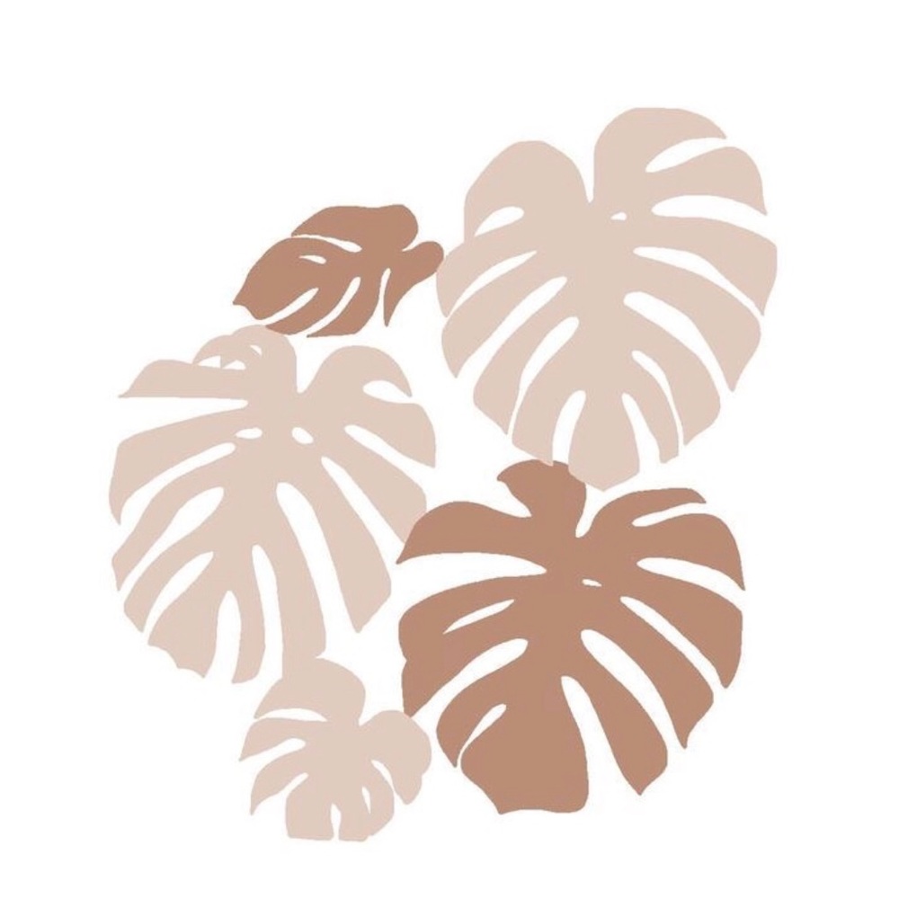 Meet your Posher, Viana